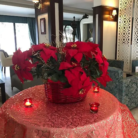 Kosdere Hotel Biga