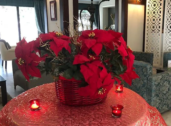 Kosdere מלון Biga